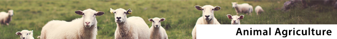 our work - animal agriculture test