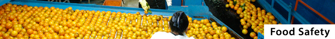 our work - food safety test